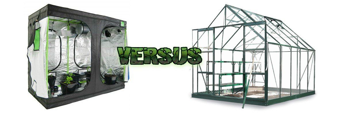 A grow tent versus a greenhouse